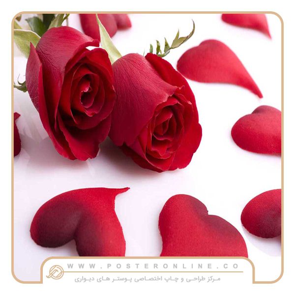 پوستر دیواری گل سرخ