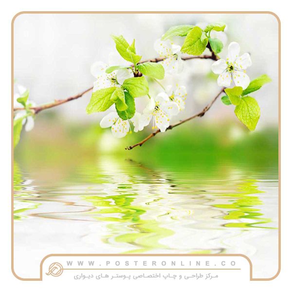 پوستر دیواری شکوفه سفید