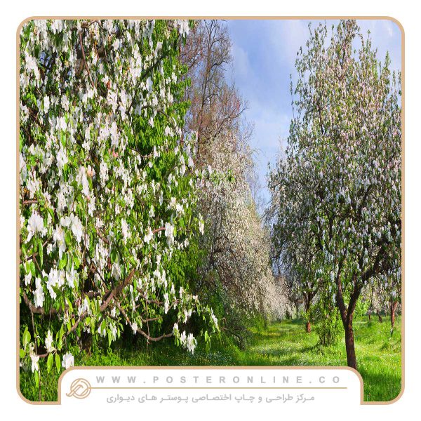 پوستر دیواری منظره بهار کد n-5877