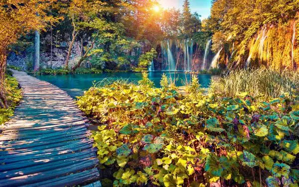 پوستر دیواری ابشار و برگ های سبز