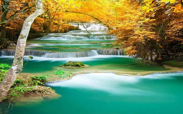پوستر دیواری برگ های زرد و رودخانه
