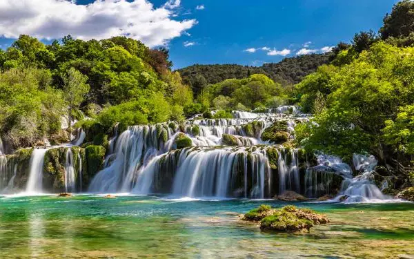 پوستر دیواری طبیعت سرسبز و ابشار