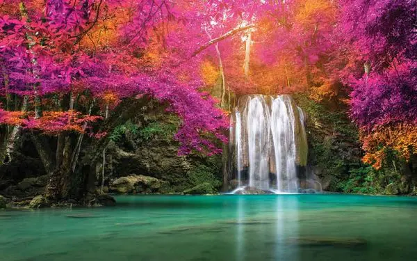 پوستر دیواری آبشار و شکوفه های رنگی
