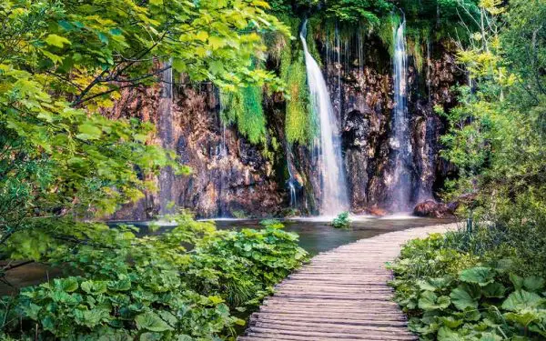 پوستر دیواری پل چوبی و آبشار