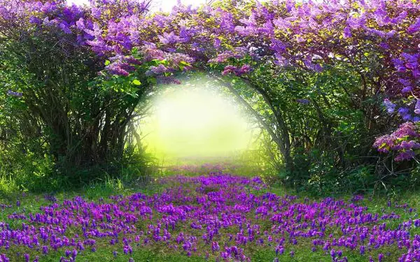 پوستر دیواری تونل درختی بهار