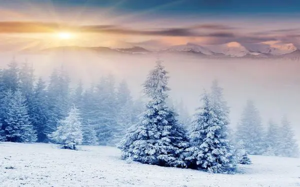 پوستر دیواری منظره زمستان طوفان برف