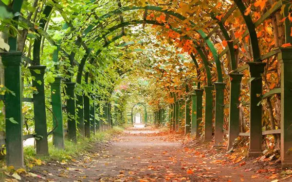 تونل طبیعت