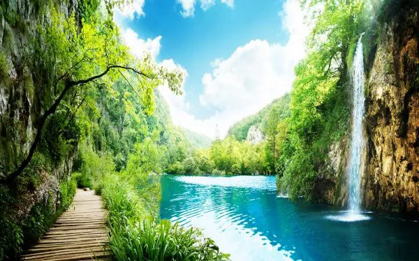پوستر دیواری جزیره سرسبز