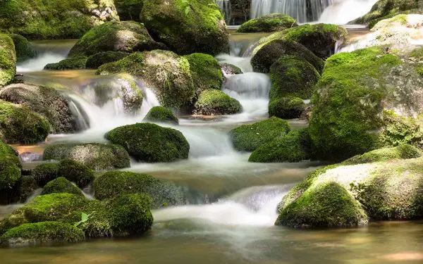 پوستر دیواری رودخانه سرسبز