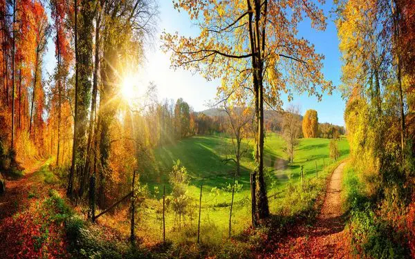 پوستر دیواری منظره تابستان افتابی