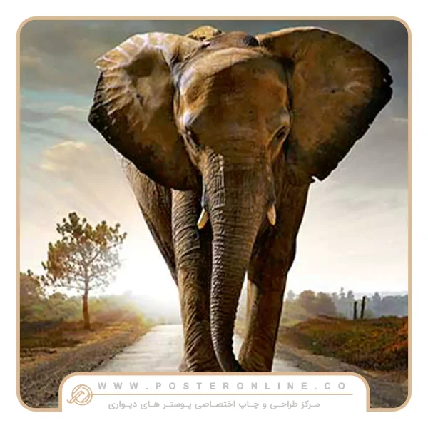 پوستر دیواری حیوانات طرح فیل بزرگ