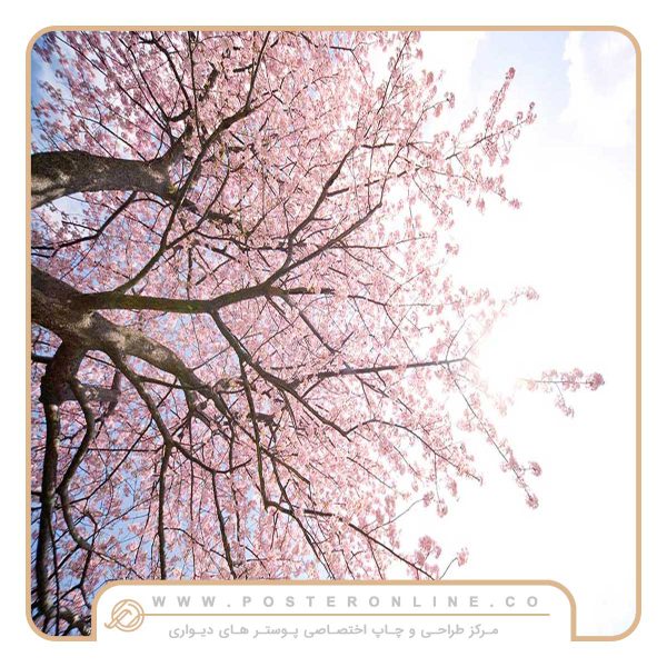 پوستر دیواری درخت شکوفه