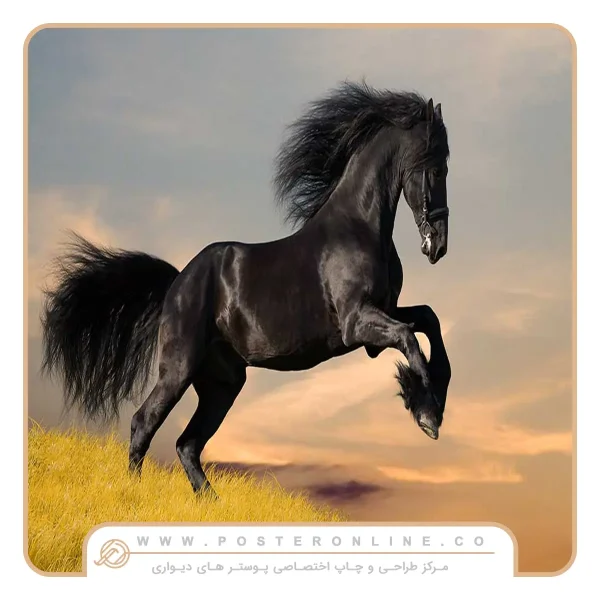 پوستر دیواری حیوانات طرح اسب مشکی وحشی
