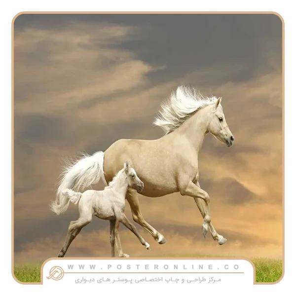 پوستر دیواری حیوانات طرح اسب با یال سفید
