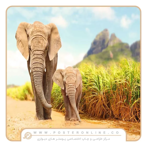 پوستر دیواری حیوانات طرح فیل های زیبا