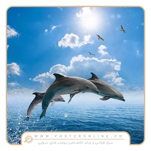 پوستر دیواری حیوانات طرح شنای دلفین ها