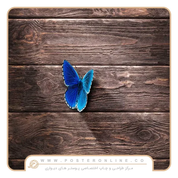 پوستر دیواری حیوانات طرح پروانه آبی