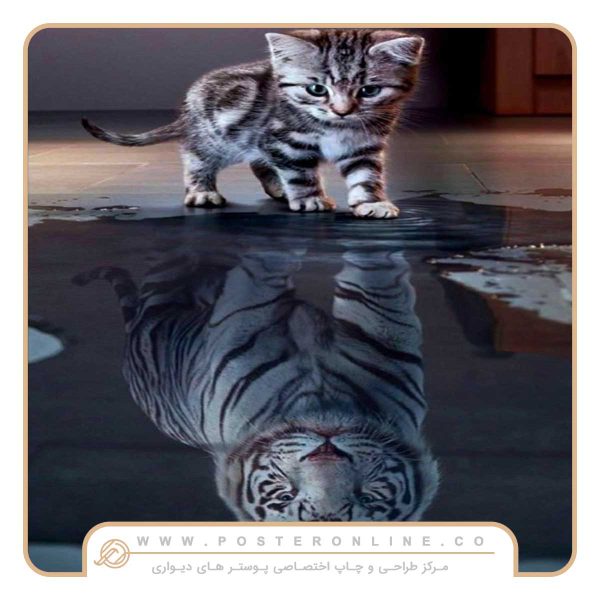 پوستر دیواری اتاق نوجوان طرح گربه