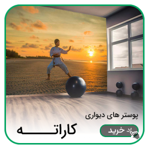 پوستر دیواری کاراته