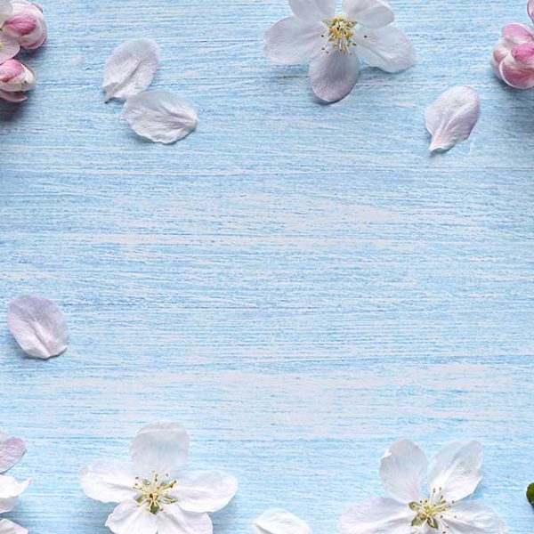 پوستر دیواری شکوفه با بگراند آبی