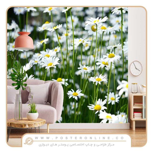 پوستر دیواری گل های بابونه