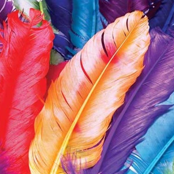 پوستر دیواری سه بعدی طرح پر
