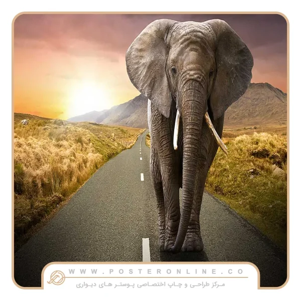 پوستر دیواری حیوانات طرح فیل تنها