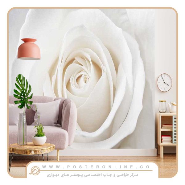 پوستر دیواری گل رز سفید
