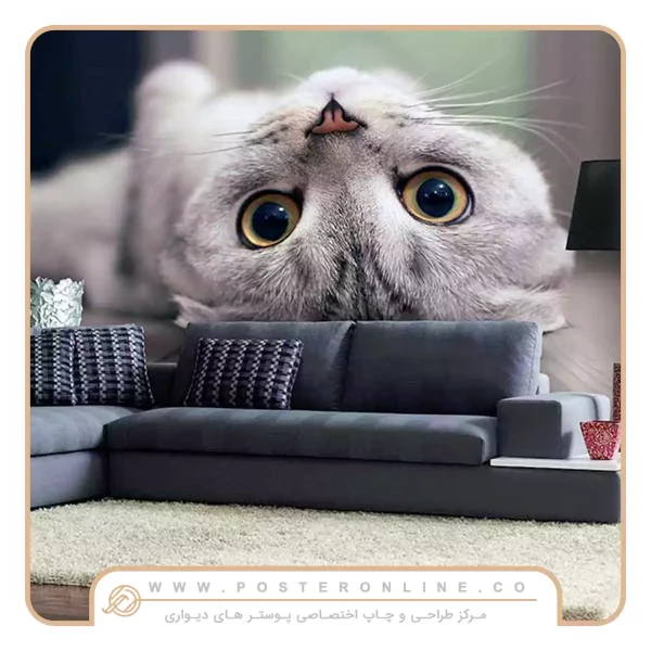 پوستر دیواری گربه کیوت
