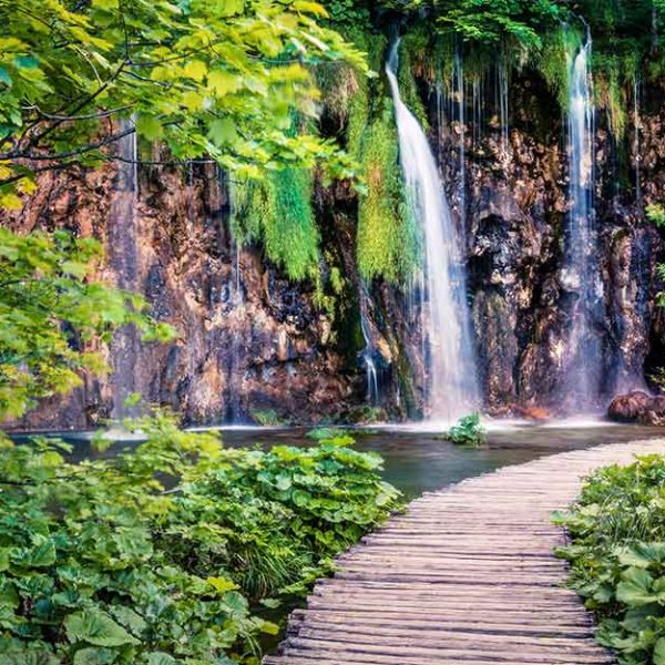 پوستر دیواری پل چوبی و آبشار