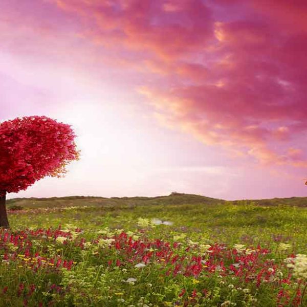 پوستر دیواری منظره بهار منظره هنری