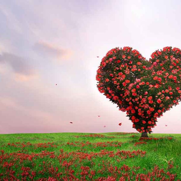 پوستر دیواری قلب طبیعت