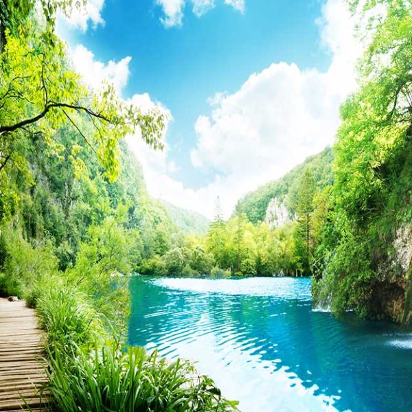 پوستر دیواری جزیره سرسبز
