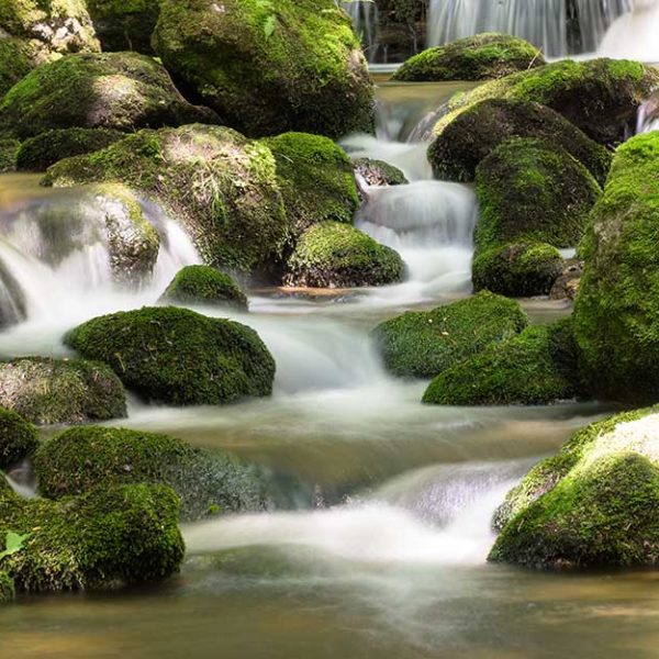 پوستر دیواری رودخانه سرسبز