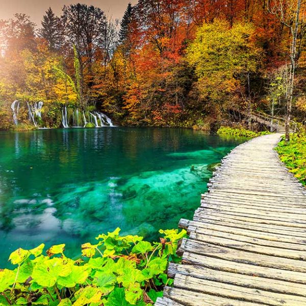 پوستر دیواری منظره پل و درختان پاییز
