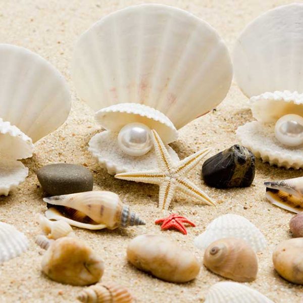 پوستر دیواری مروارید و صدف