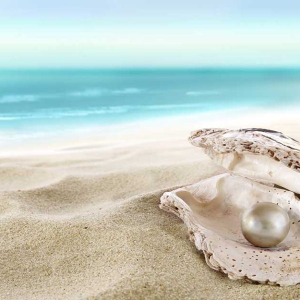 پوستر دیواری منظره صدف و مروارید در ساحل